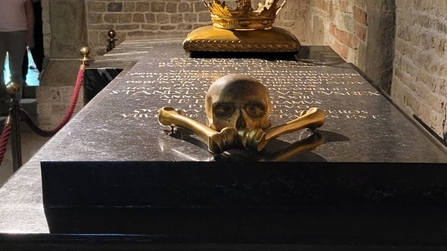 Besichtigung der Wawel-Kathedrale vom Keller