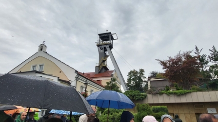 Es regnet, aber das macht nichts, es geht heute Unter Tage ins Salzbergwerk Wieliczka