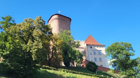 Hoch zum Wawel - Krakauer Burg
