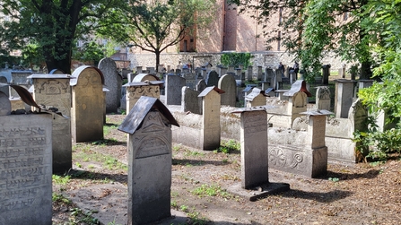 mit Friedhof