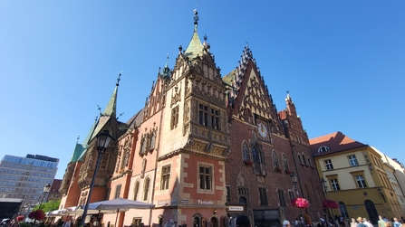 Das reich dekorierte Rathaus...
