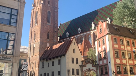 Unser Führer Arcadiusz weiß viel zu erzählen.