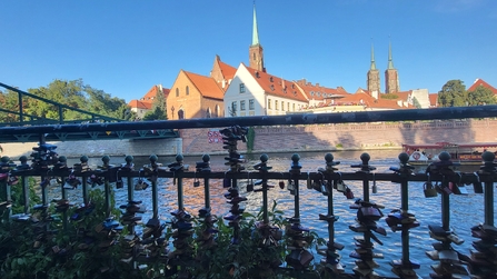 Blick auf die Dominsel