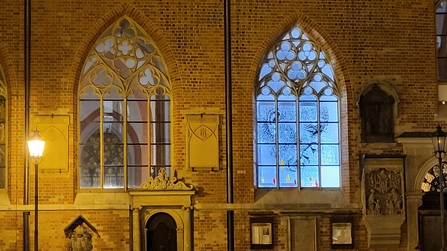 Beim Abendspaziergang zeigt sich das Papst-Kirchenfenster